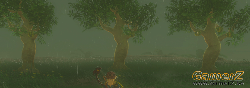 800px-Korok451.png