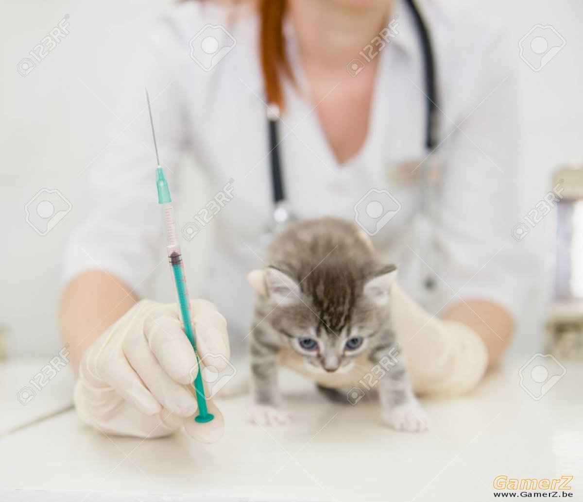 46721285-vétérinaire-avec-une-seringue-faire-la-vaccination-chat-.jpg