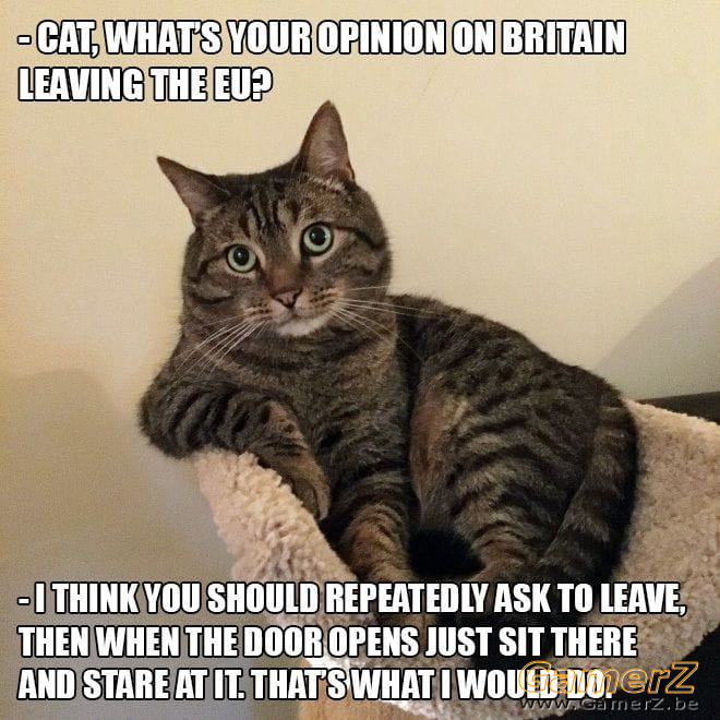 brexitCat.png