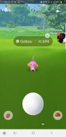 Screenshot_20190824-103349_Pokmon GO.jpg