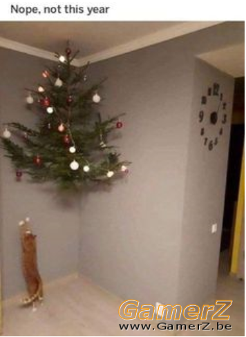 Xmas-tree-catG.PNG